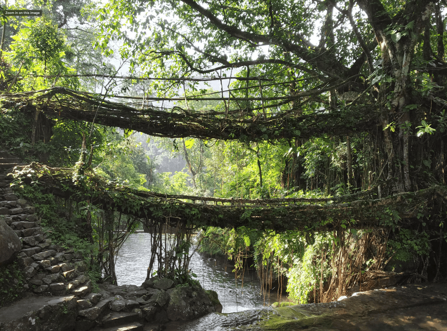Meghalaya Escape